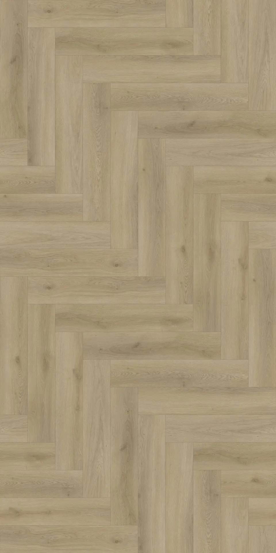 SH04 SPC CLICK VISGRAAT