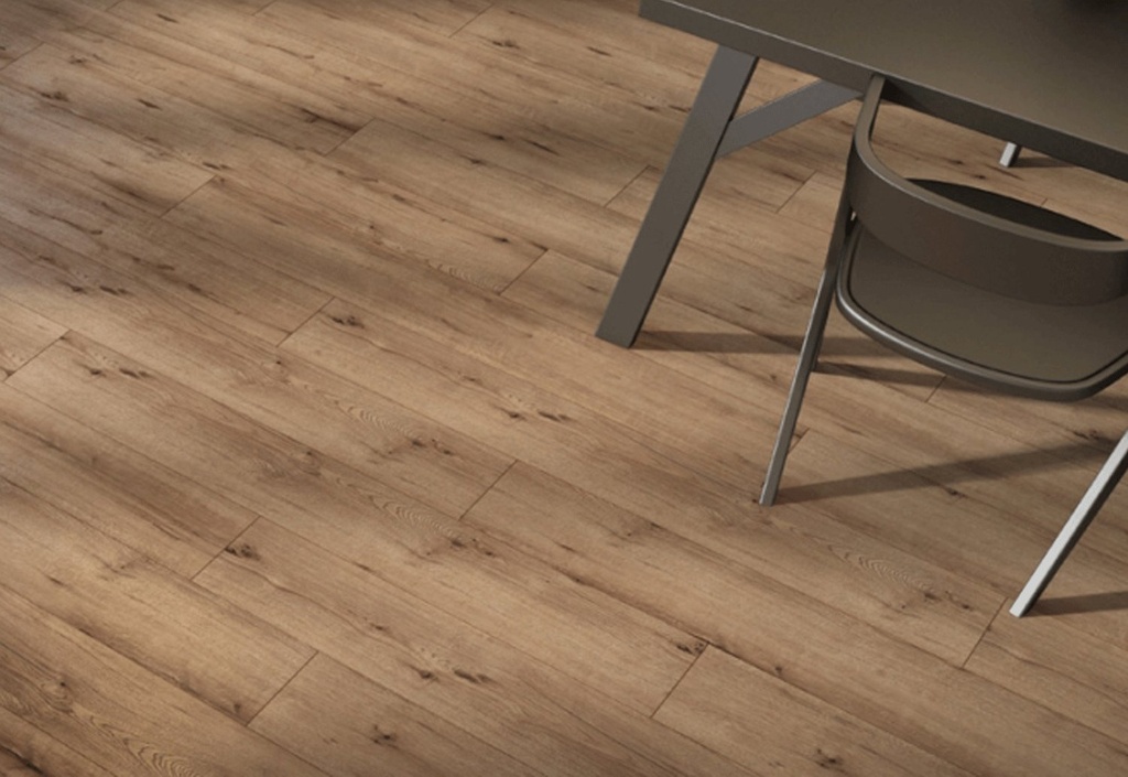 [PRK504] Selge PRK504